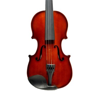 violon duoleimi 1/4 -1/2 -3/4 -4/4 DLM00A