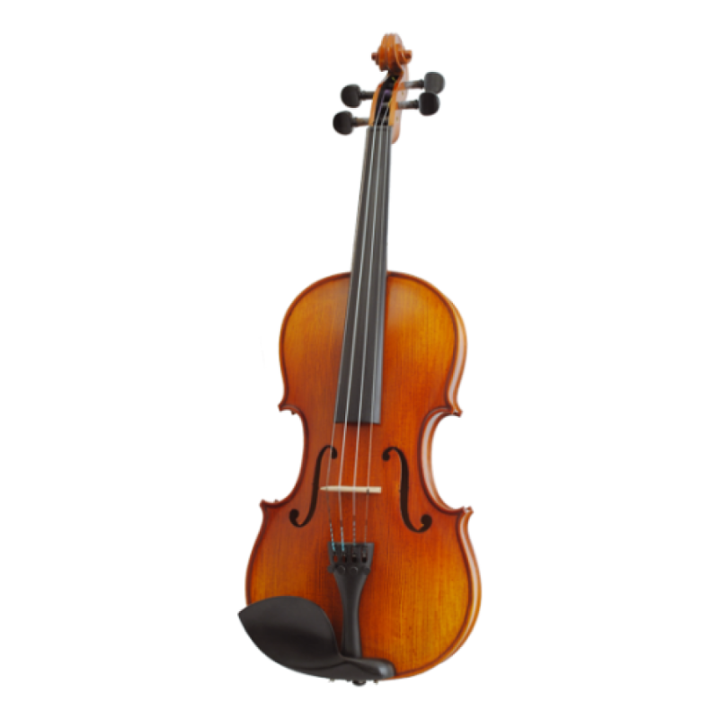 violon duoleimi DLM001-3A