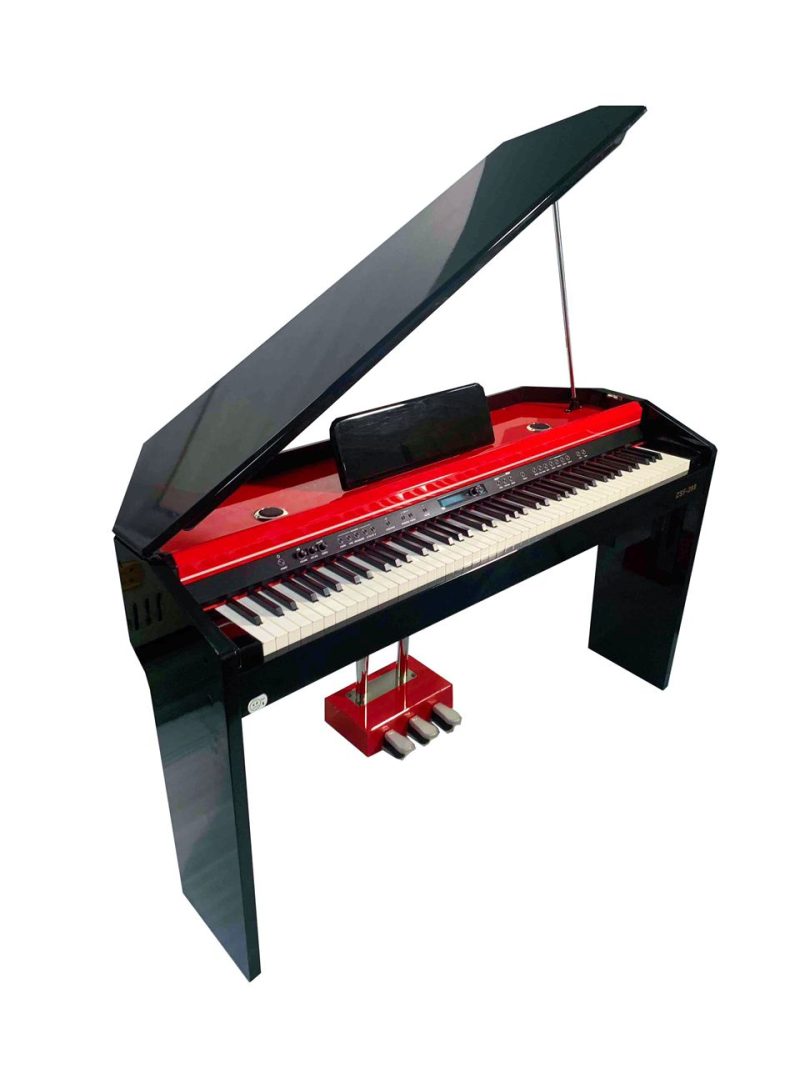 Digital Piano ZSF-288 DUOLEIMI