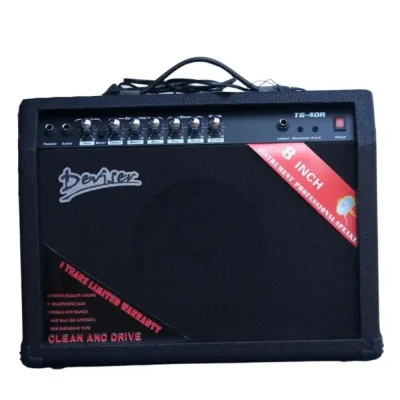 Deviser TG-40R Guitar Amplifier (40 Watts)
