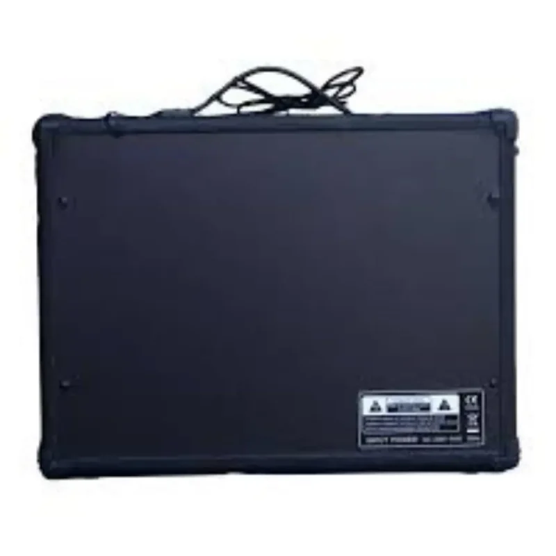 Deviser TG-40R Guitar Amplifier (40 Watts) - Image 2
